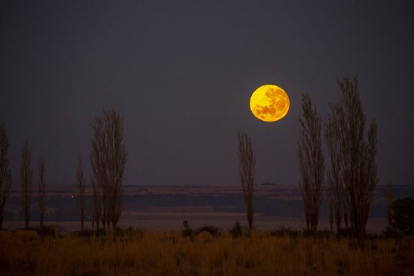 Full moon North West province