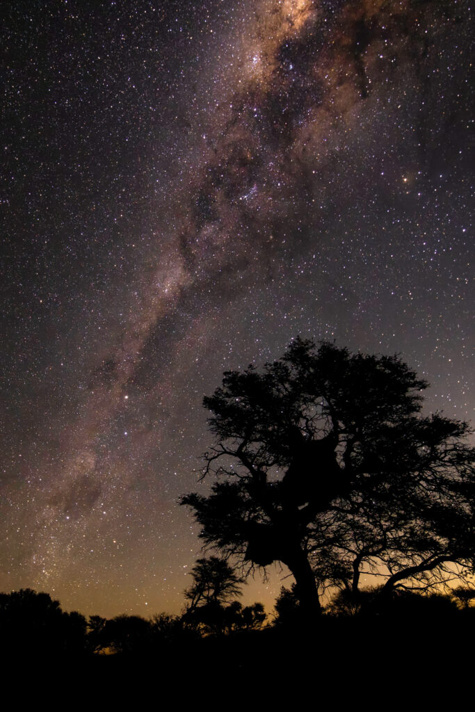 Kalahari starry night